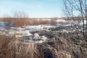 Уровень воды на реке Нижний Тогузак достиг близкой к угрозе подтопления отметки