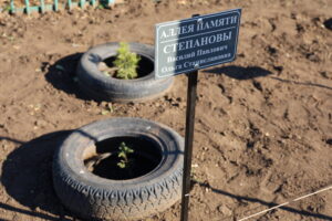 Аллею Памяти открыли в Нововладимировке